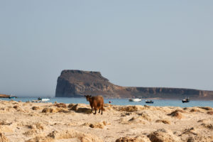 capra di Balos