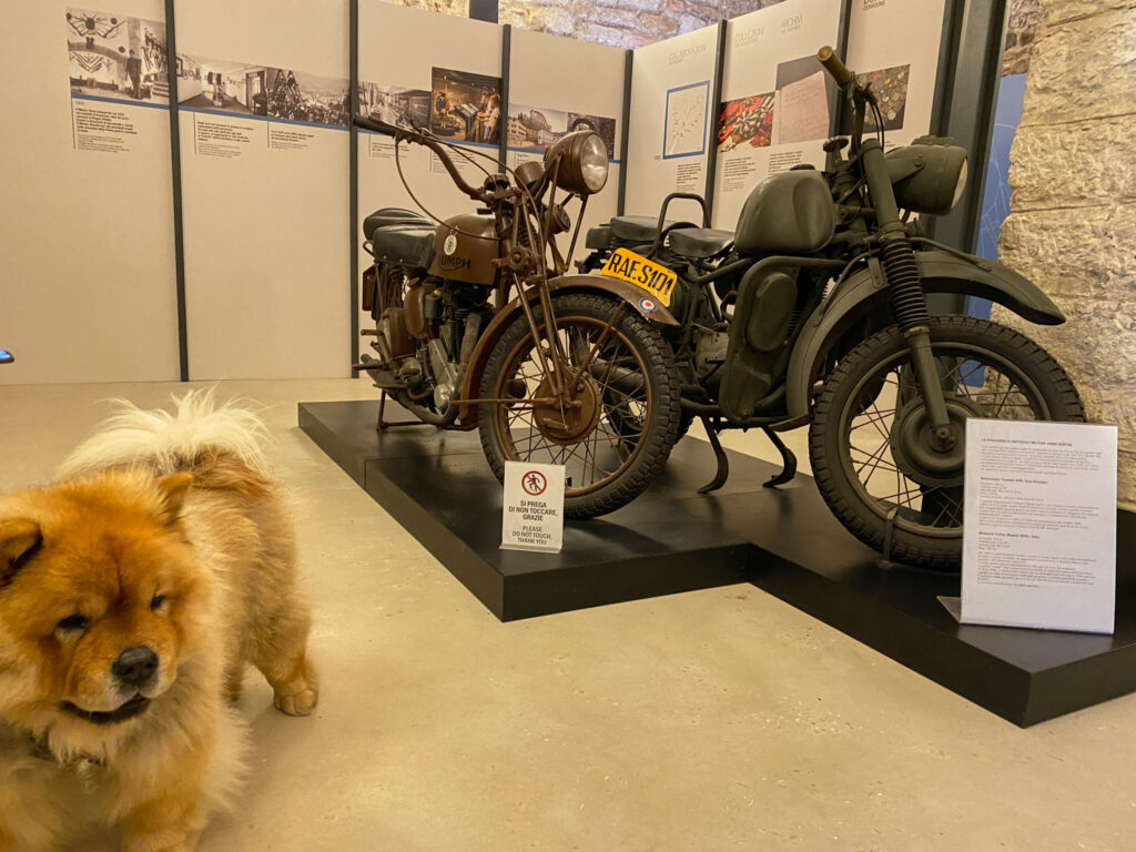 moto RAF, con guardiano peloso