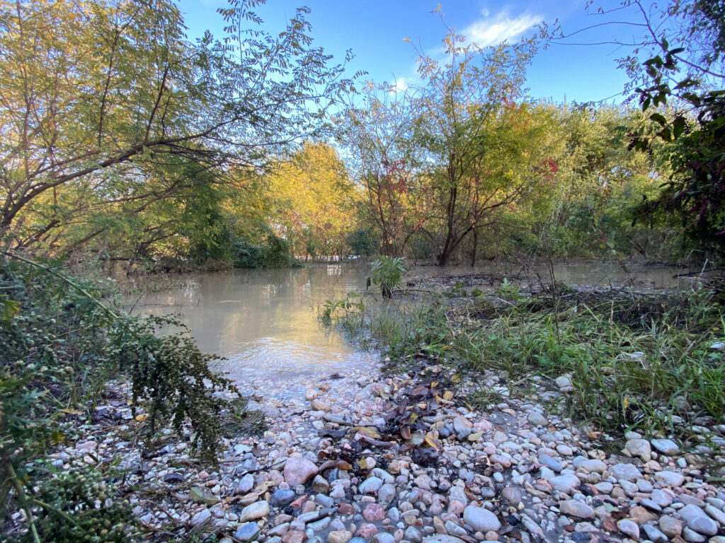 Adige In Piena