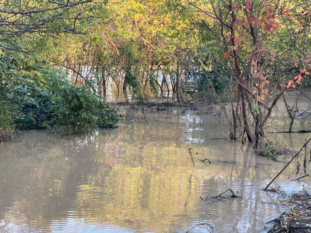 Adige In Piena