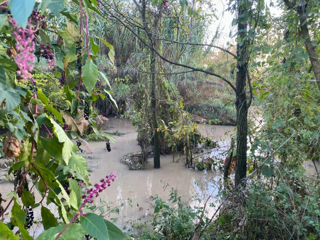 Adige In Piena