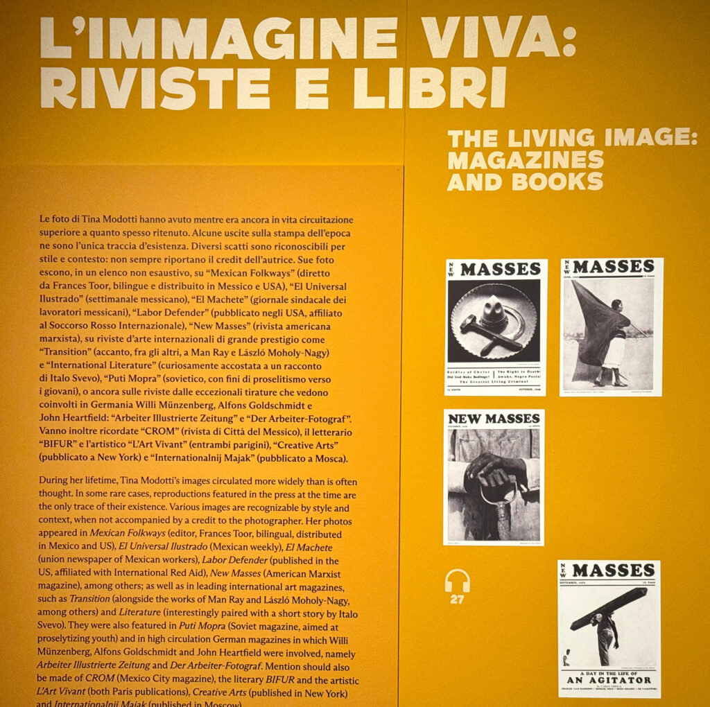 L'immagine viva: riviste e libri